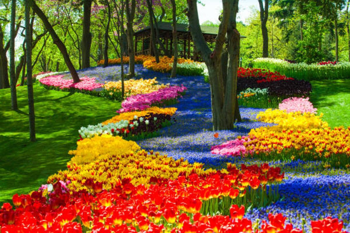 ISTANBUL TULIP SEASON