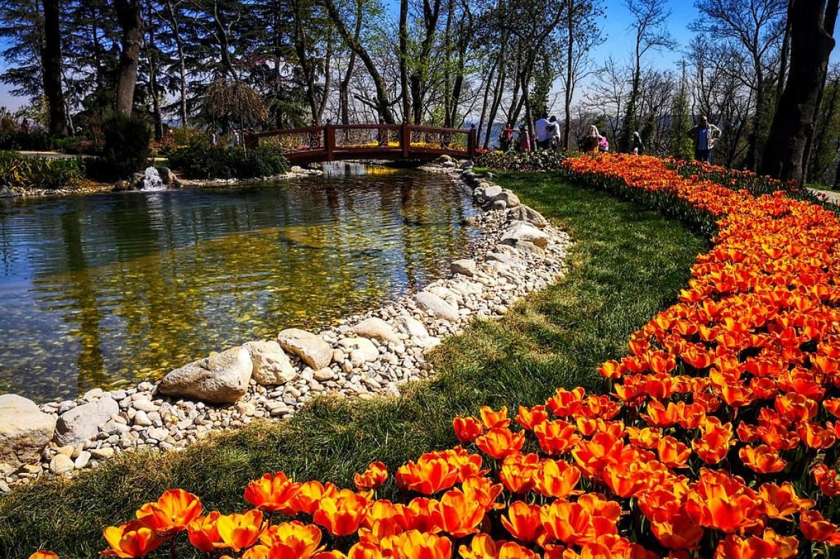 ISTANBUL TULIP SEASON