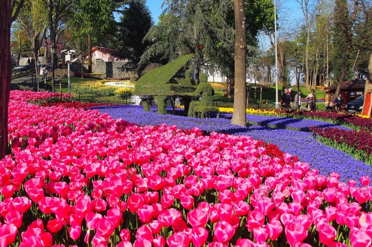 ISTANBUL TULIP SEASON